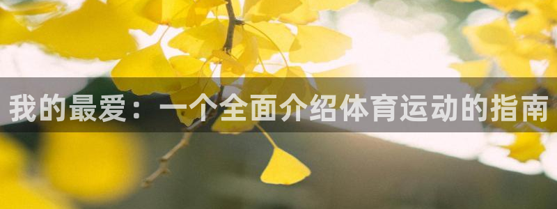 一竞技官网下载平台假的吗是真的吗：我的最爱：一个全面