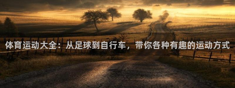 一竞技官方正版app娱乐平台：体育运动大全：从足球到