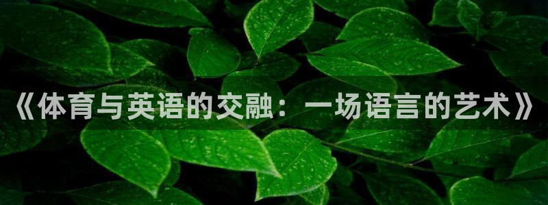 一竞技官网下载平台注册流程图：《体育与英语的交融：一