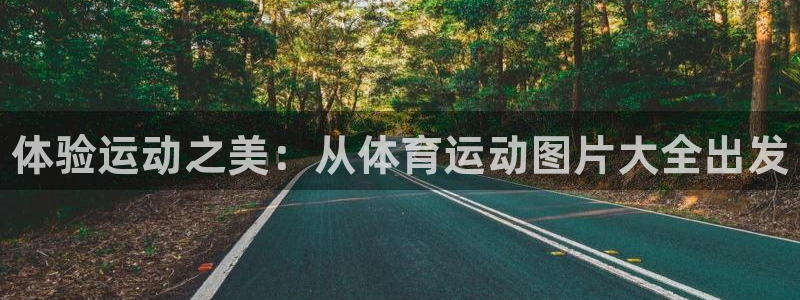 一竞技官网下载招商电话号码查询是多少：体验运动之美：
