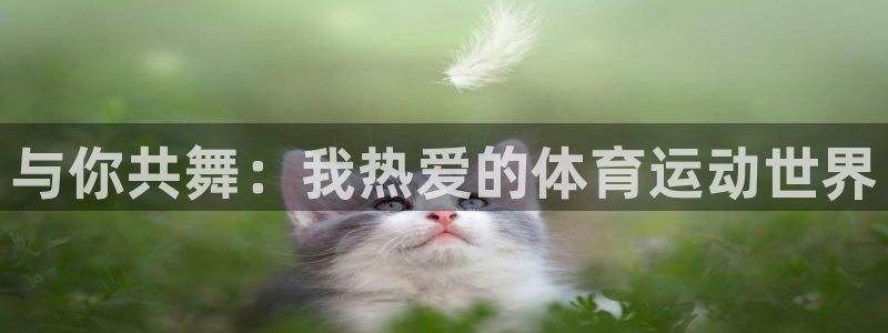 一竞技官网下载招商电话号码查询：与你共舞：我热爱的体育运动世