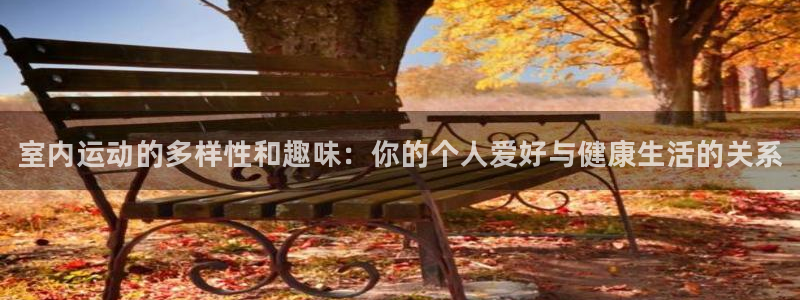 一竞技官方正版app集团logo：室内运动的多样性和