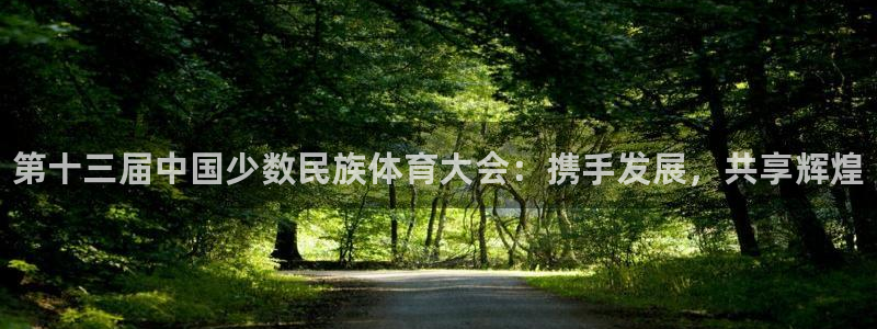一竞技官方正版app开户：第十三届中国少数民族体育大