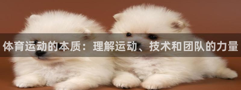 一竞技官网下载招商电话号码是多少号：体育运动的本质：
