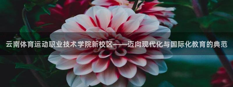 一竞技官方正版app神州：云南体育运动职业技术学院新