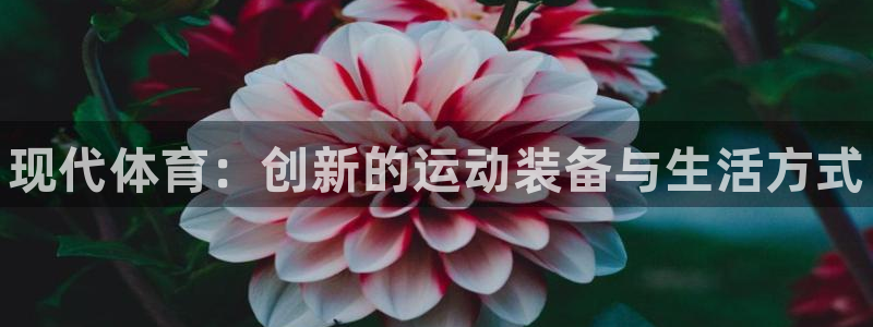 一竞技官网下载平台APP：现代体育：创新的运动装备与