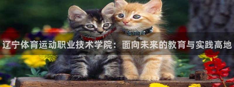 注册一竞技官方正版app：辽宁体育运动职业技术学院：
