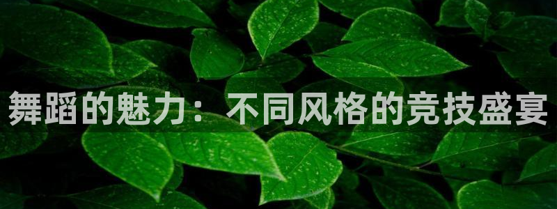 一竞技官方正版app神州：舞蹈的魅力：不同风格的竞技盛宴