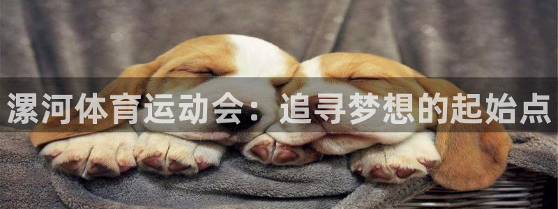 一竞技官方正版app娱乐：漯河体育运动会：追寻梦想的