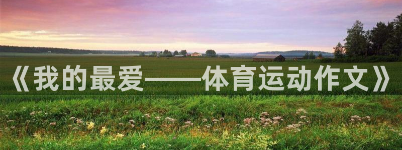 一竞技官方正版app集团logo：《我的最爱——体育运动作文