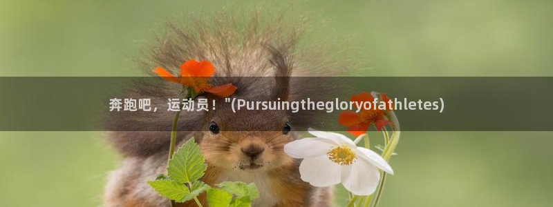 一竞技官网下载平台是正规平台吗安全吗：奔跑吧，运动员！\