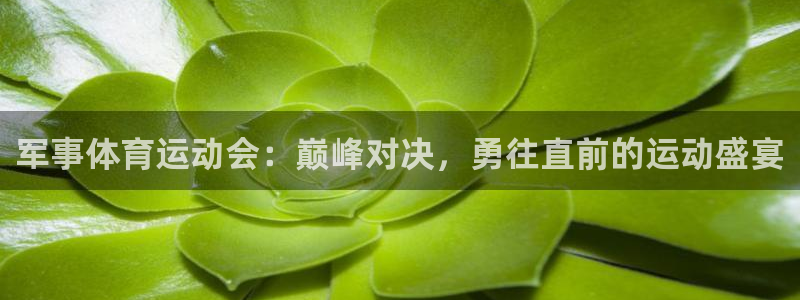 一竞技官网下载招商电话号码查询：军事体育运动会：巅峰对决，勇