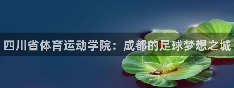 一竞技官方正版app五金厂：四川省体育运动学院：成都的足球梦