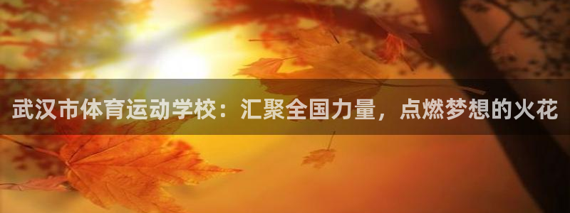 一竞技官网下载开户：武汉市体育运动学校：汇聚全国力量，点燃梦