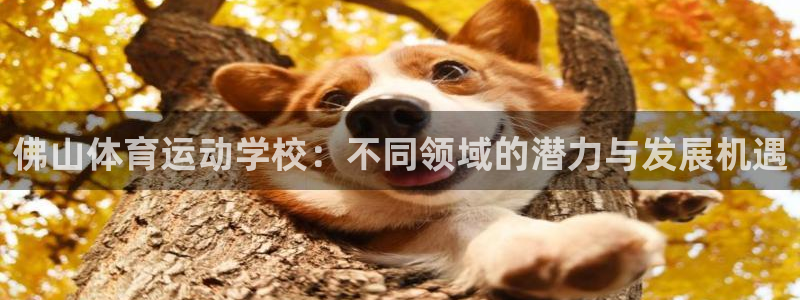 德国一竞技官方正版app集团：佛山体育运动学校：不同领域的潜