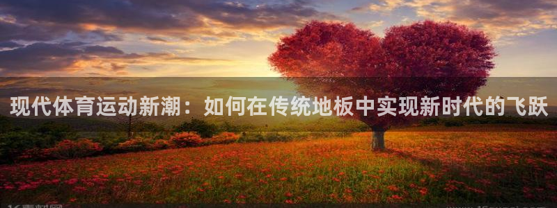 一竞技官方正版app娱乐：现代体育运动新潮：如何在传统地板中