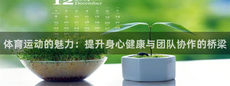 一竞技官网下载招商电话是多少号码：体育运动的魅力：提