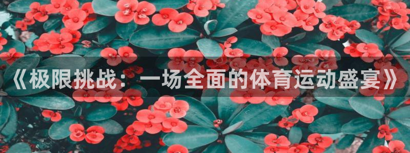 一竞技官网下载平台：《极限挑战：一场全面的体育运动盛宴》