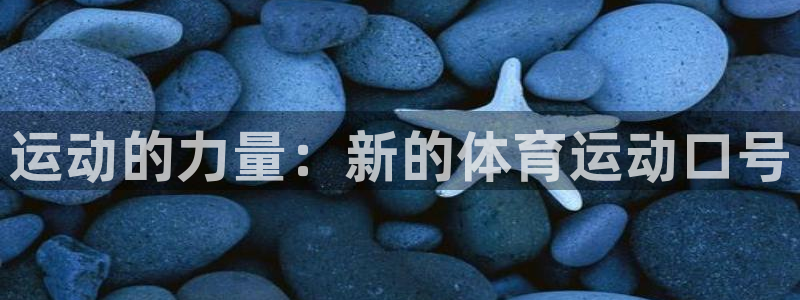 一竞技官方正版app集团logo：运动的力量：新的体育运动口