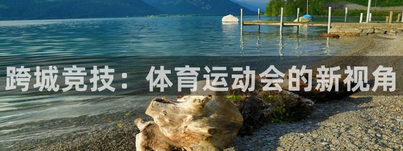 一竞技官网下载平台是正规平台吗安全吗：跨城竞技：体育运动会的