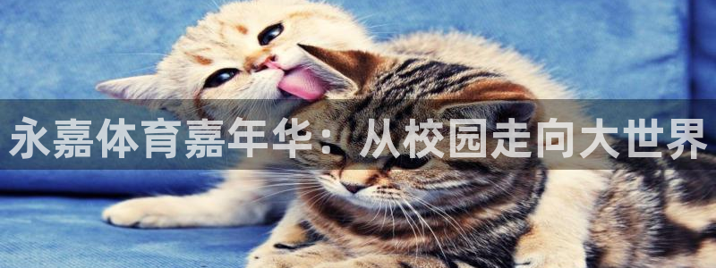 一竞技官网下载招商电话号码查询是多少：永嘉体育嘉年华：从校园