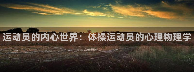 一竞技官网下载招商电话：运动员的内心世界：体操运动员的心理物