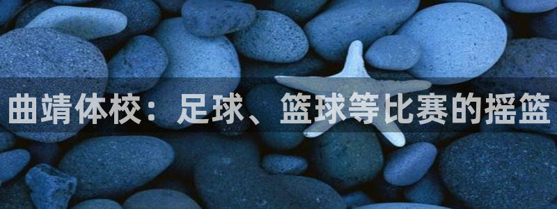 一竞技官网下载平台APP