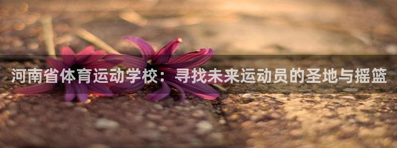 一竞技官网下载招商电话是多少