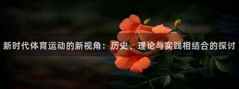 德国一竞技官方正版app集团